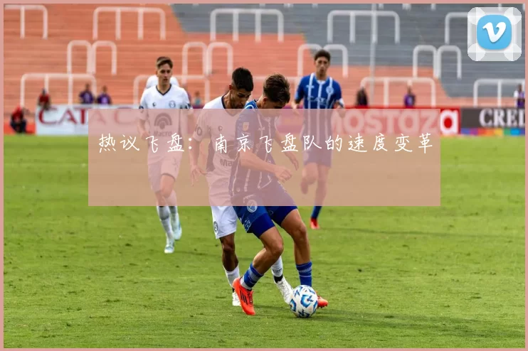 热议飞盘：南京飞盘队的速度变革
