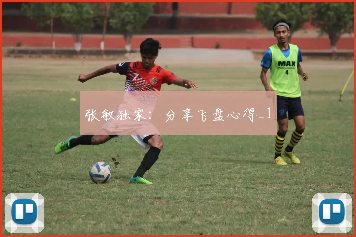 张敏独家：分享飞盘心得_1